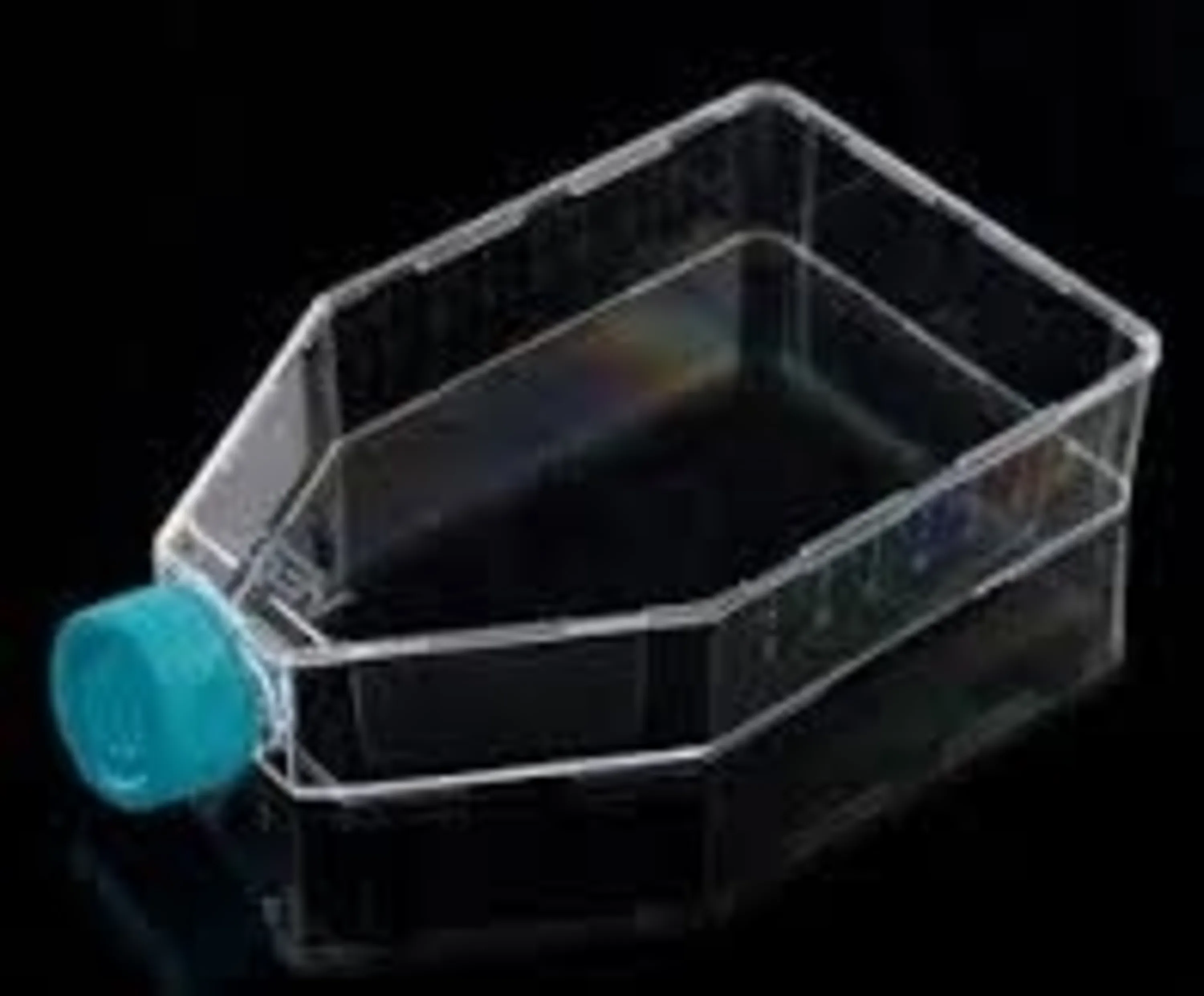 فلاسک کشت سلول درب ساده،T75-ST